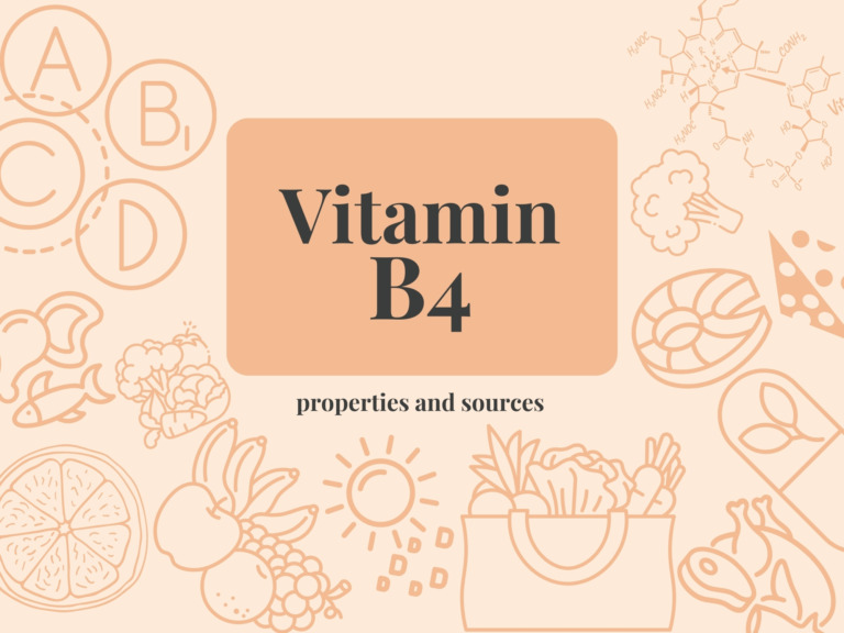 Choline (vitamin B4) - properties, sources, and dosage